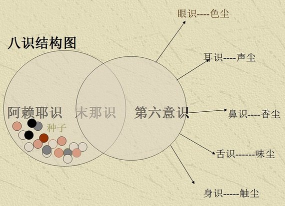 唯识学中的「八识心王」