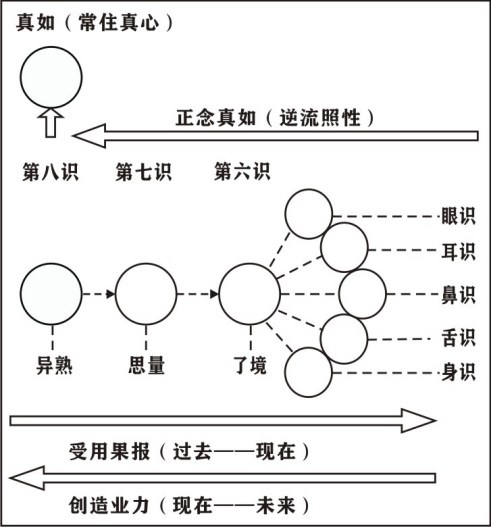 編ʦϾ