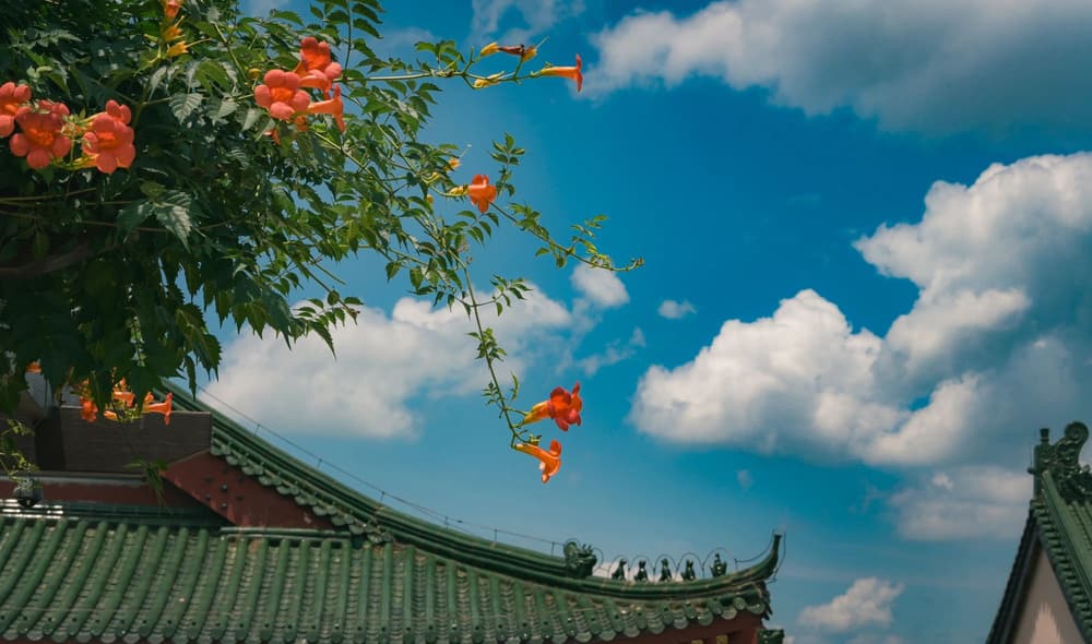 ����������ⶨ������Ҫ������Ω������