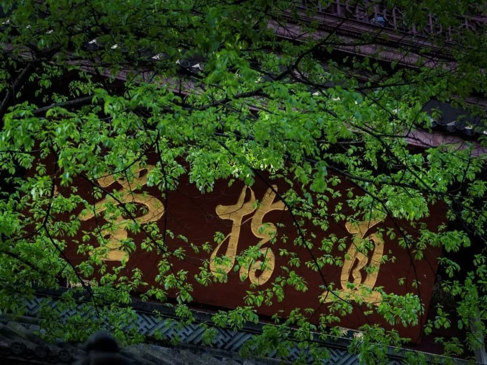 ���������������䷳��