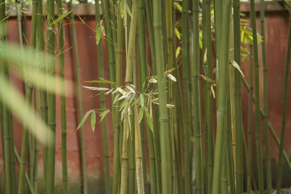 ����û������ǰ�Ǹ����������ǲ���