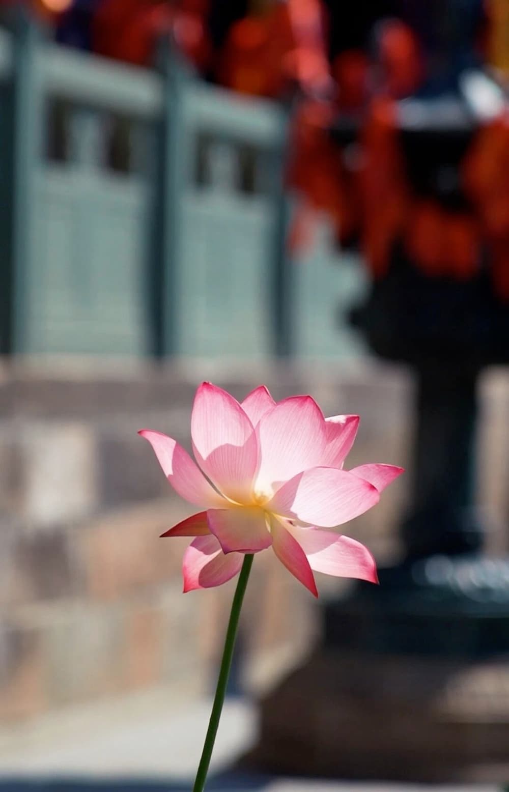 һרΪ�䣬һ��ר��