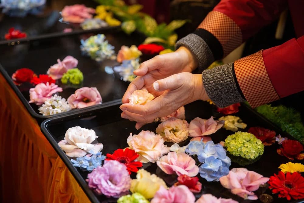 ����Ĺ�ƽ�ˣ�һ�ж��ṫƽ