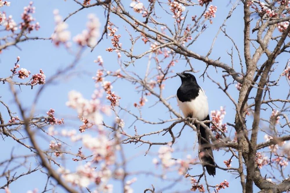 ��Ǯ���ߣ�ֹ֪���ǻ�