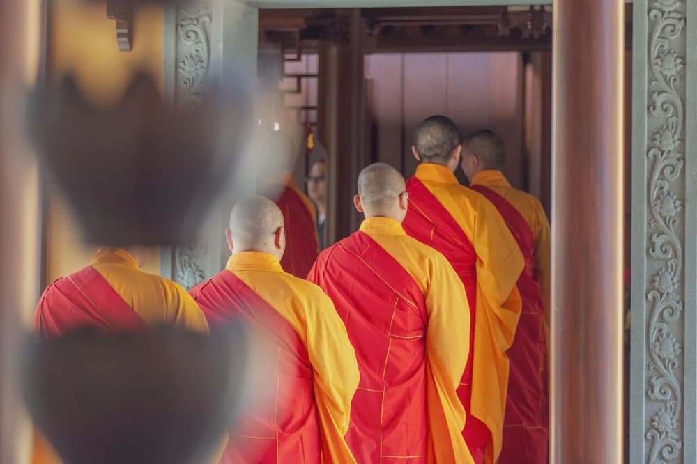 ���᡹�������޾��ģ������������������