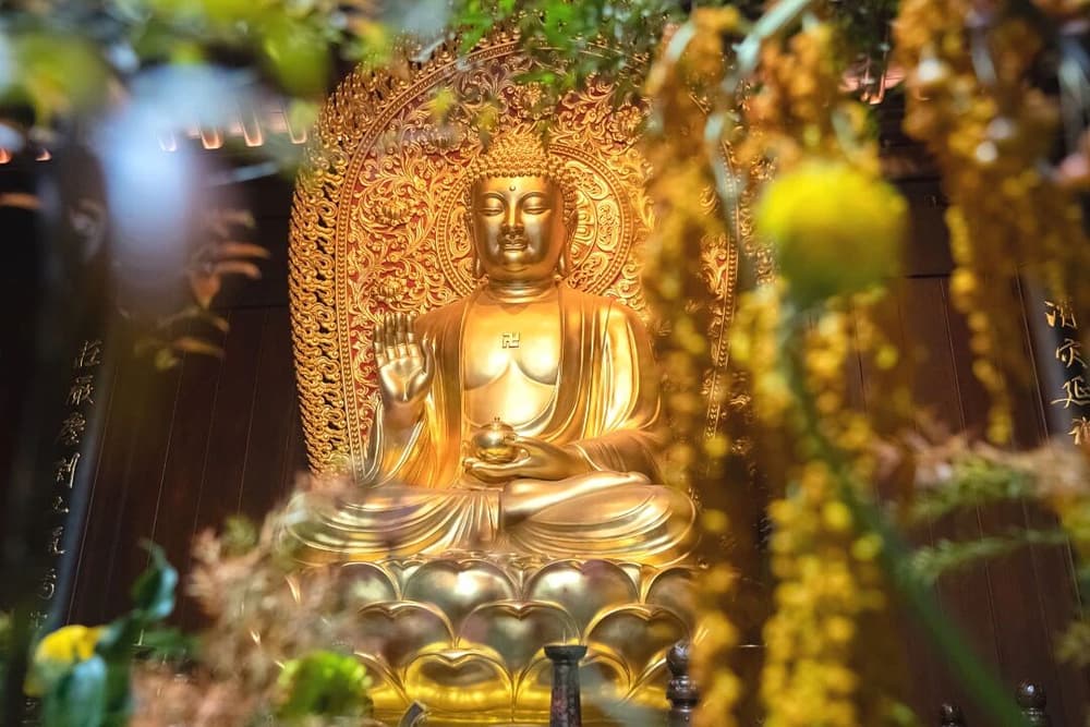 ����Ļ�������