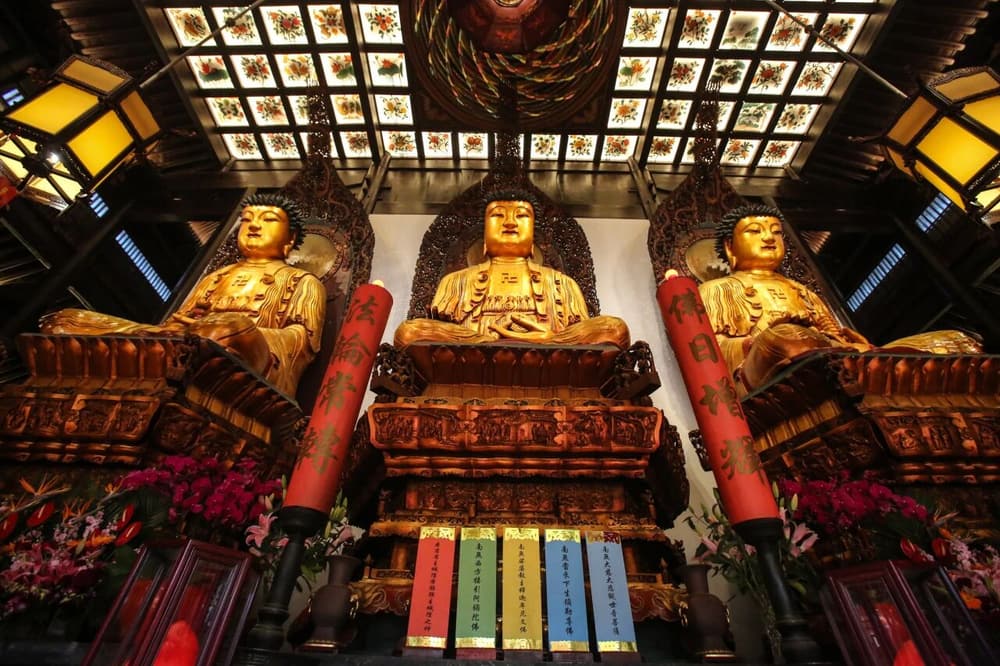 ���Ʋ�һ����Ҫ�󸻴������Ҳ����