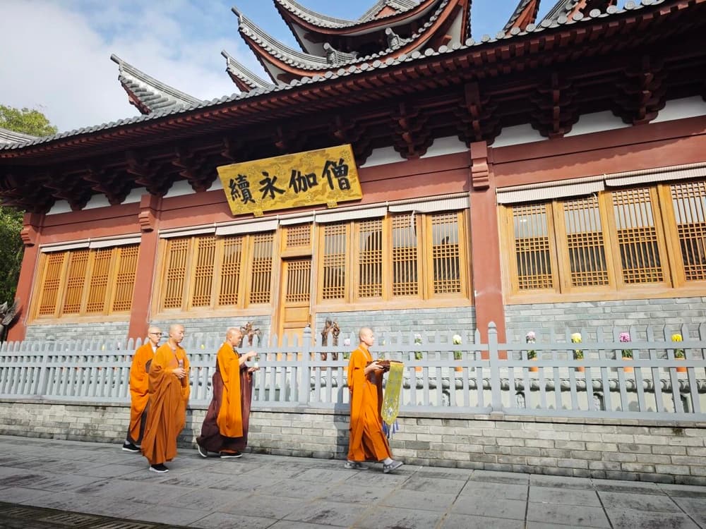 ������ɮ�����͵���