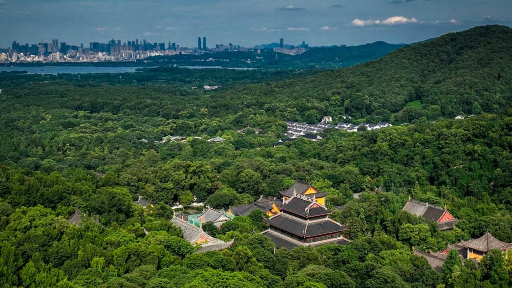 �����ȷ������ӷ𣬹����Ƿ�һ��