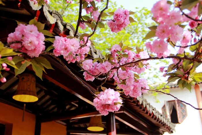 ���������꼰�������Ĺ�ת��Ϊ��