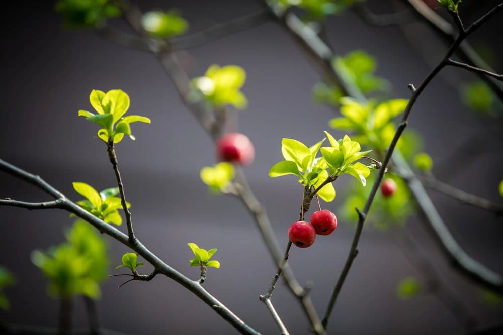 �ɾͳ�����ס�������������ֹ���