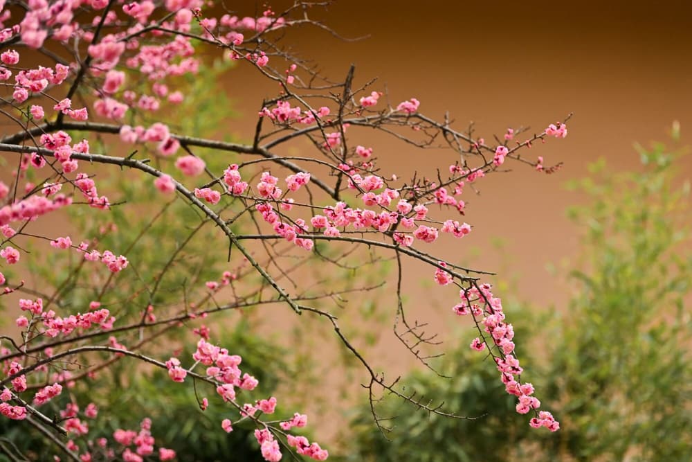 ����Ϊ�䣬����������򶨷���