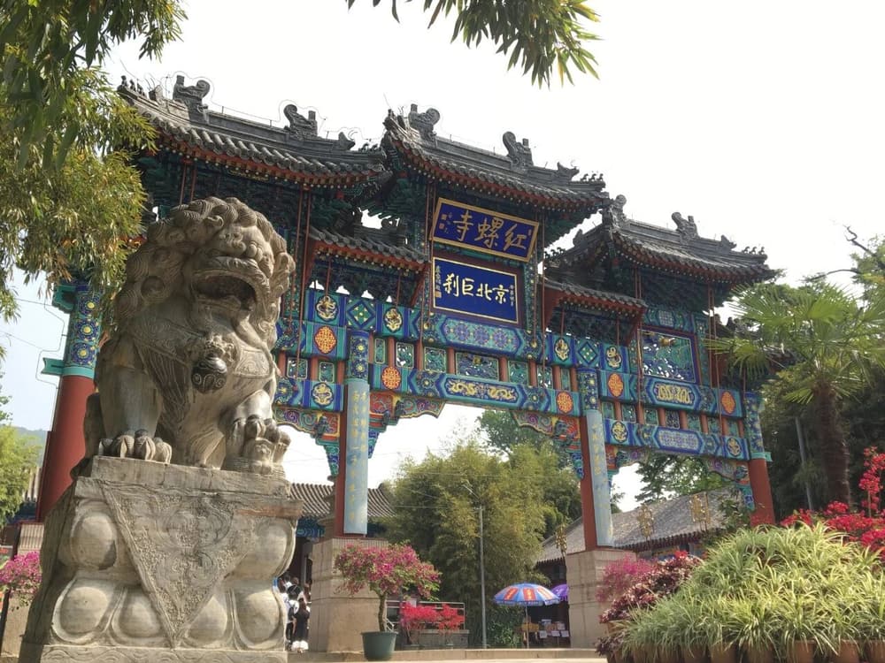 念念照常理,心心息幻尘