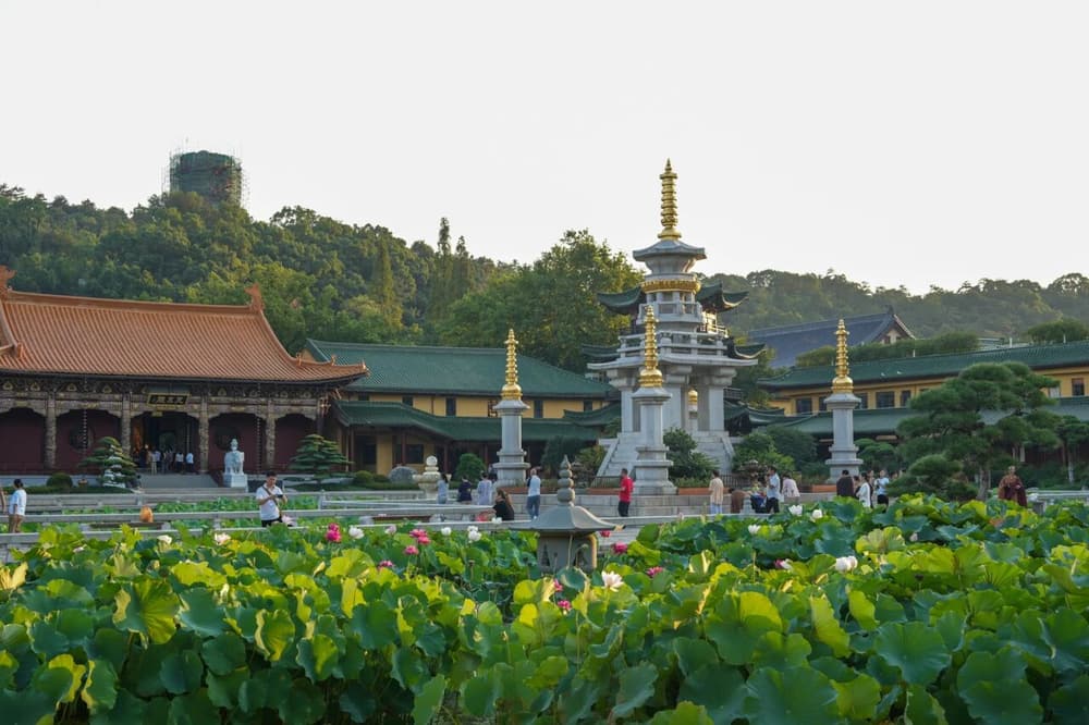 老实念佛,参学已毕