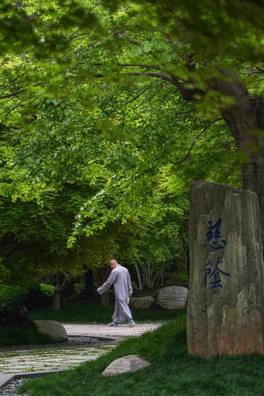 修观的三大重点——观察、胜解、舍离心相