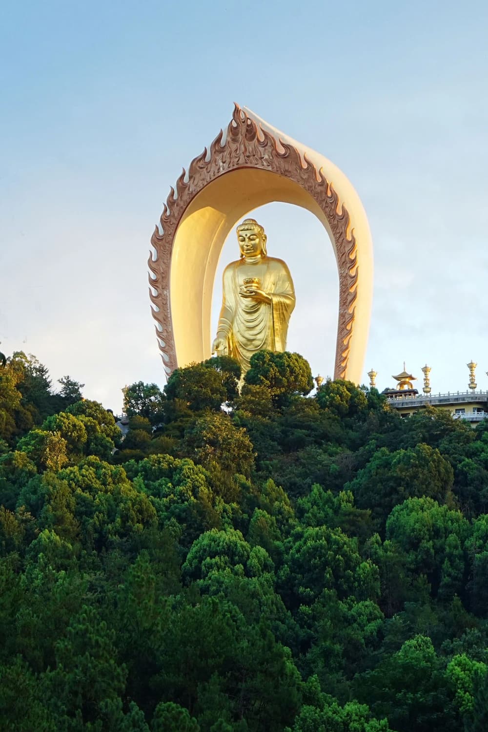 净土学人对生命的态度