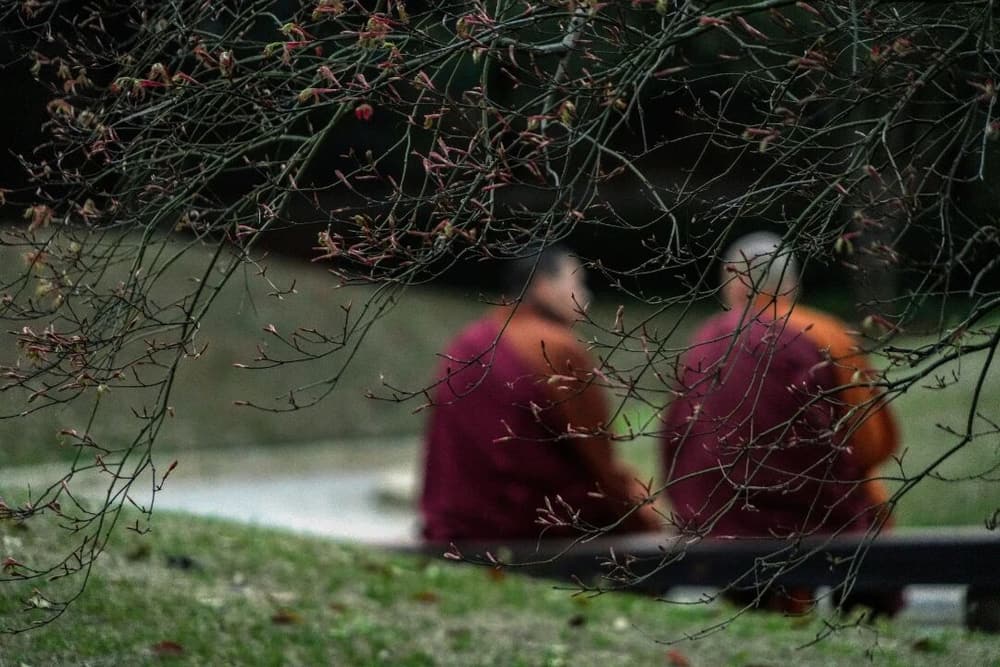 为什么要用直心呢?直心与妄想怎么判断
