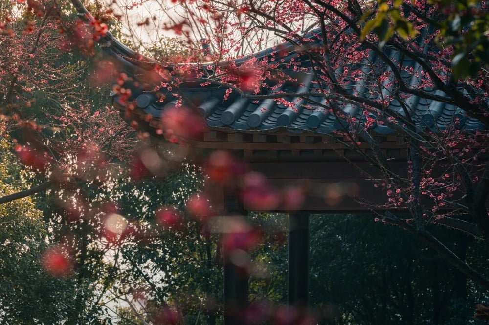 所有的忏悔心,最重要的就是「畏惧心」